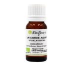 Lavande aspic (Lavandula latifolia spica)